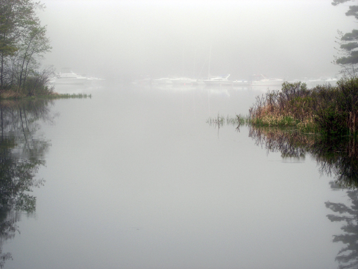Foggy Day at Kettle Cove
