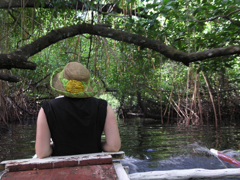 Paddling in the Mangrove