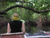 Paddling in the Mangrove by Katrina Adams