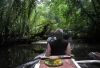 Paddling in the Mangrove 2 by Katrina Adams