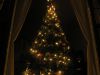 Oh Christmas Tree by Kim Guarnaccia