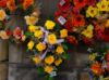Shooting Wall Flowers - Painted by Jim Sabatke