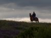 Horse and Rider by Ian MacDonald