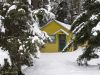 Yellow Cabin in the Woods