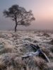 Winter on Hathersage Moor by Steve Elliott