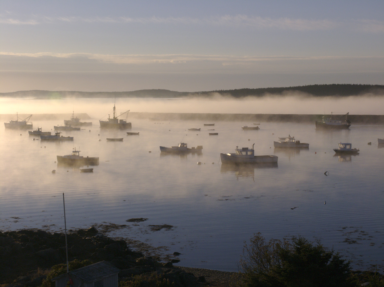 Maine Lobster port at dawn