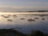 Maine Lobster port at dawn by Peter Betts