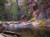 West Fork of Oak Creek Trail, Sedona, AZ, #2 by Michael S