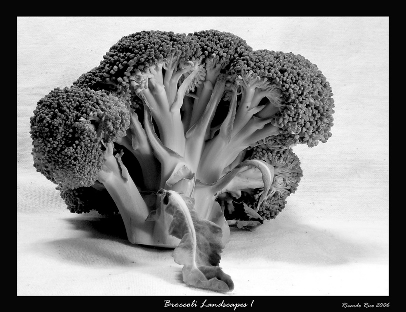 Broccoli Landscapes 1