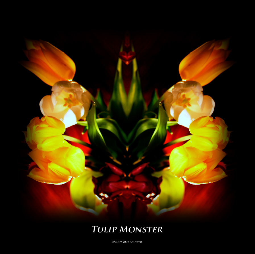 Tulip Monster