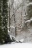 New Fallen Snow by Tom Daniel