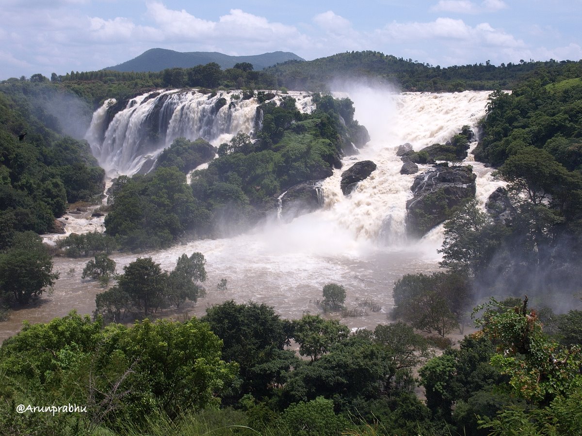 Bharachukki Falls - Karnataka - India