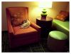 Hotel cat (2) by dee vee