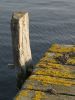 The Post by Jens Birch