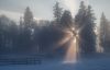I See the Light by Jens Birch