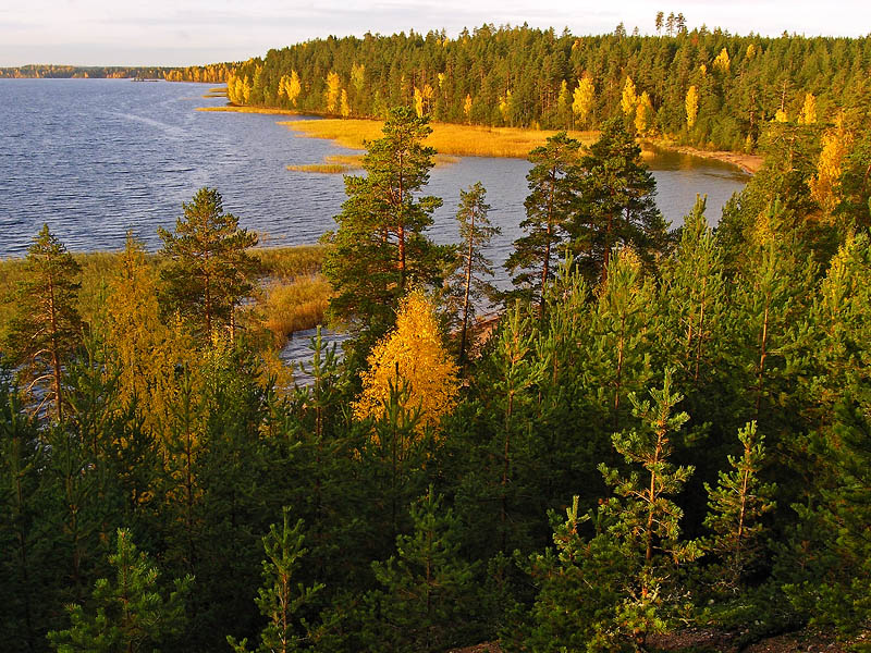 Autumn in P?ih?niemi Finland