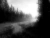 Early morning light by Ricard Bergstr?m