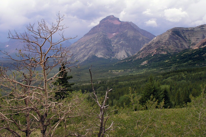 Glacier National Park Scene