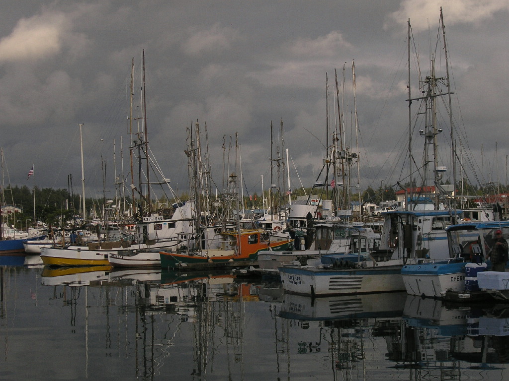 Gray Day