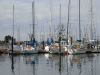 Sail Away