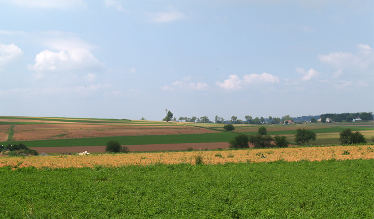 Amish Farm Lands