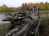 The Songo River by Bob Doucette