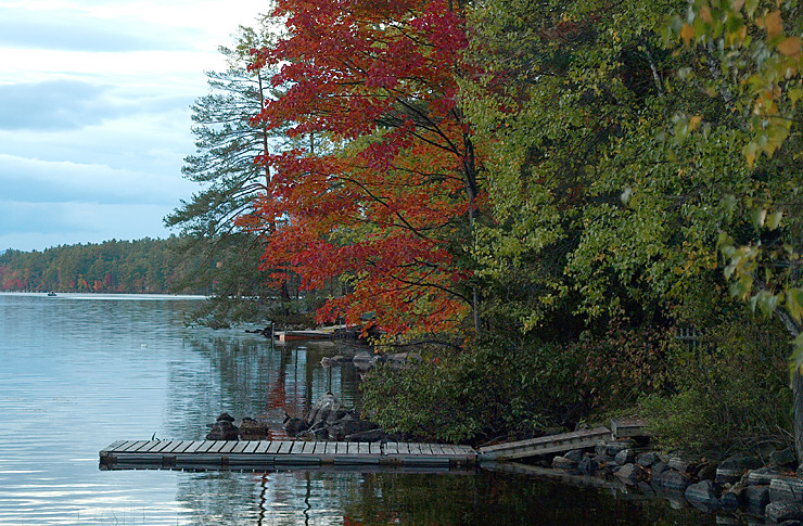 Dock