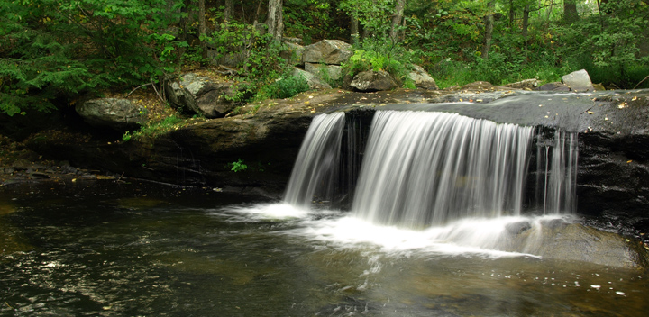 The Brook