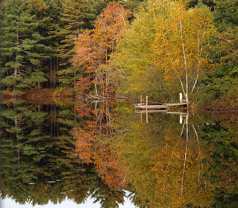 Reflections at The Dock