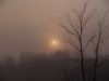 Foggy Spring Sunrise by Bob Doucette