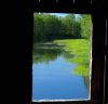 Through the Window by Bob Doucette