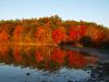 The Shore by Bob Doucette