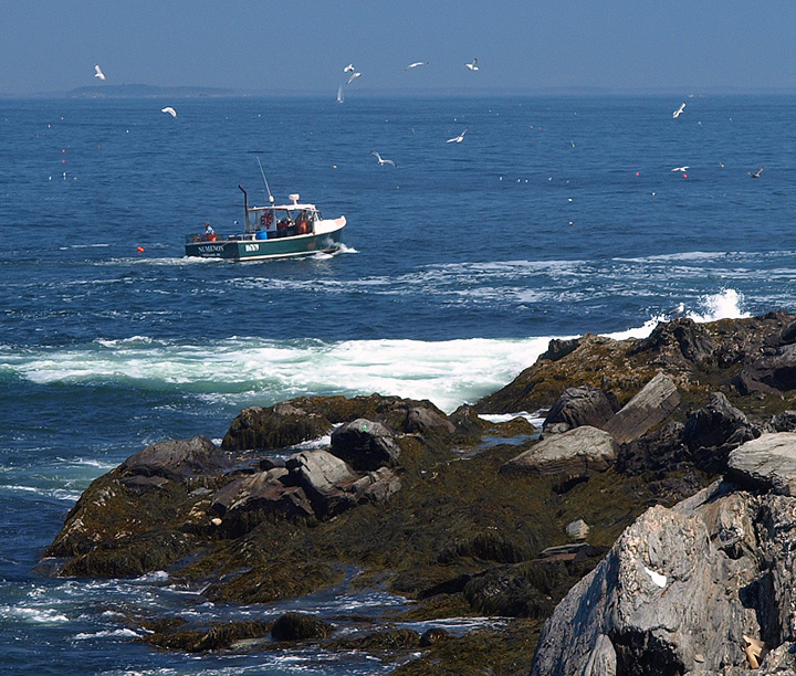 Rocky Shore