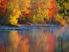 The Docks by Bob Doucette