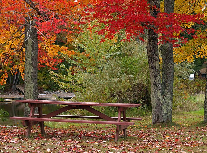 Fall Picnic