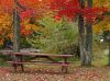 Fall Picnic by Bob Doucette