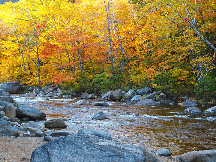 Fall colors (3)