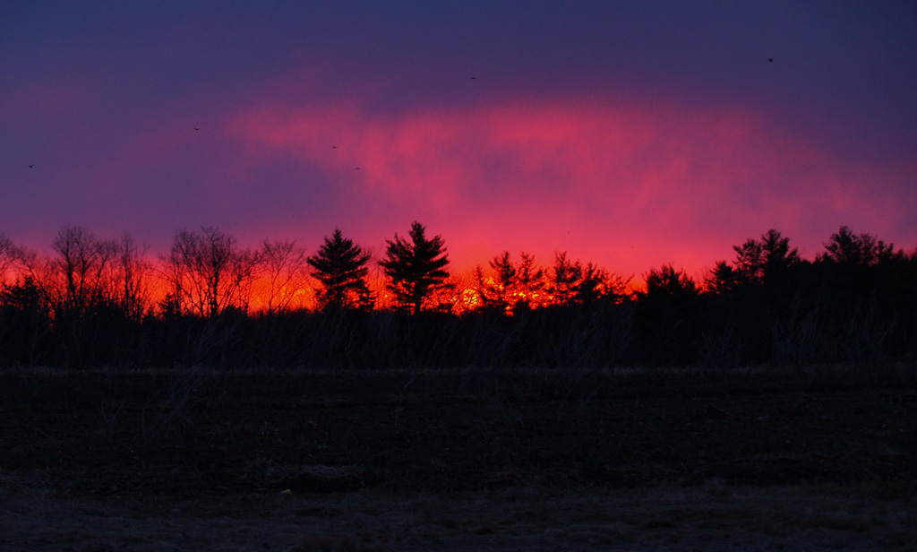 Spring Sunrise