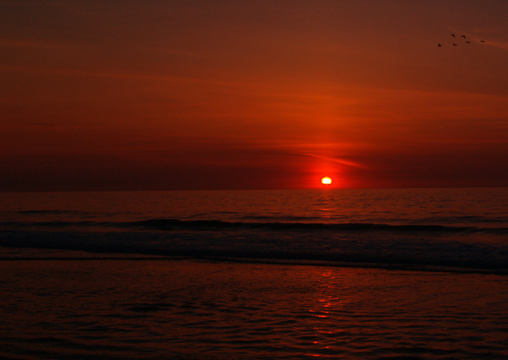 Ocean City Sunrise