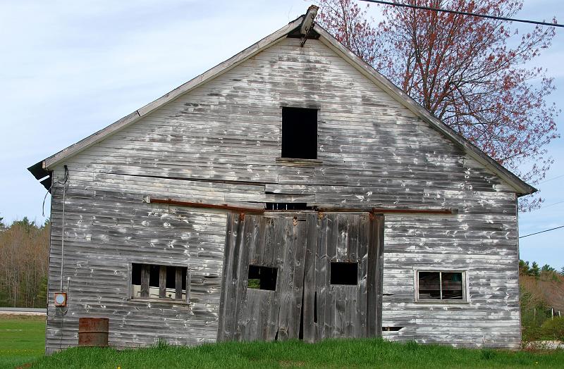 Still Standing (4)