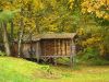 Wood Shed by Bob Doucette