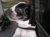 This is my GOOD SIDE by George Zimmerman