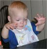 Who Stole My Freakin' Food?!?! by George Zimmerman