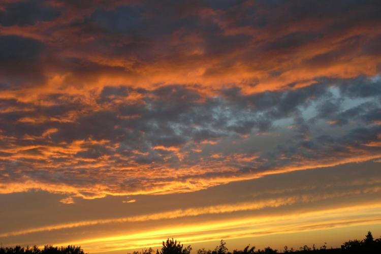 Golden Sunset