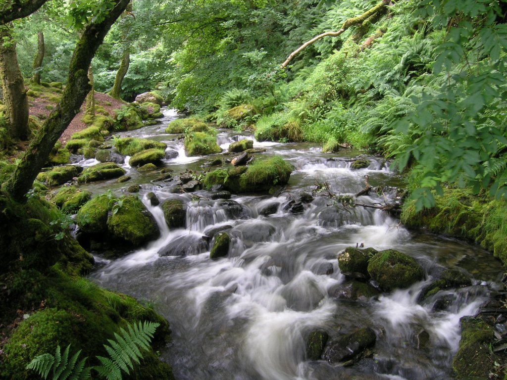 flowing water