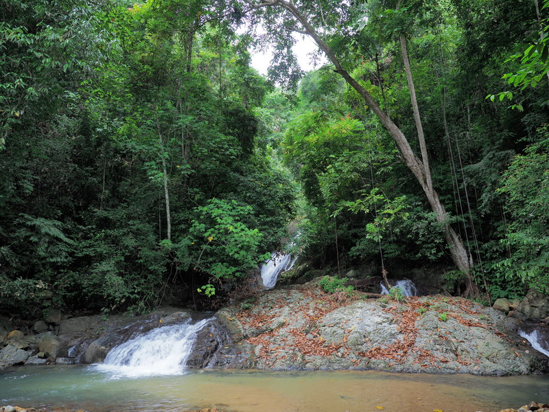 Endau Rompin waterfall