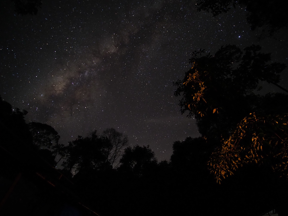 Night sky 1