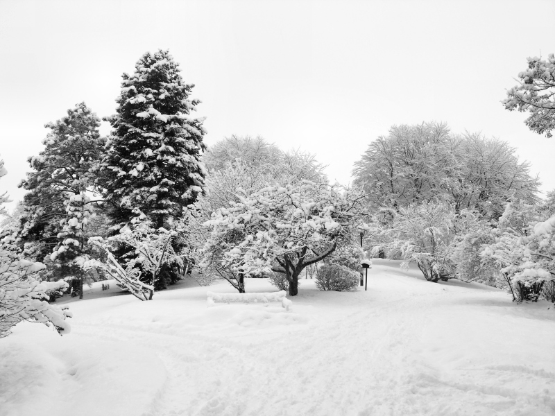 City of Baden Kurpark3