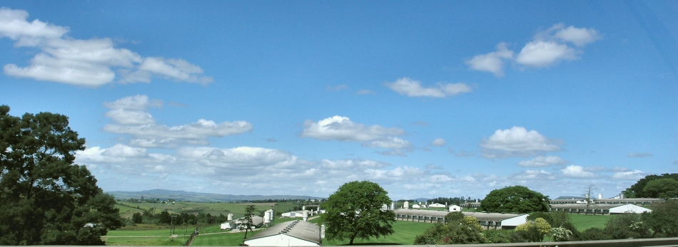 Chickenfarm in eastern SA