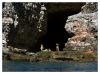 Cave at Dubrovnik by Dirk Guttmann